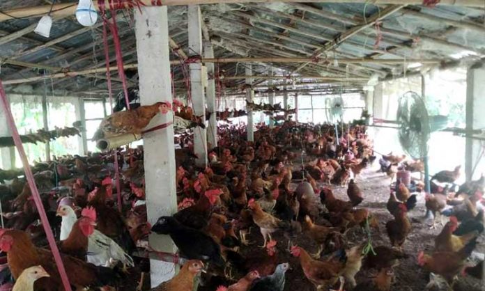 image-272438-1630642855