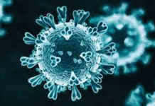 করোনায় মৃত্যুশূন্য দিনে শনাক্ত ২৯