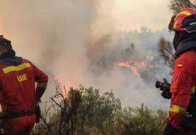 ইউরোপের কয়েক দেশে দাবানলে বিপন্ন জীবন
