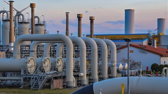 image-569233-1656804641