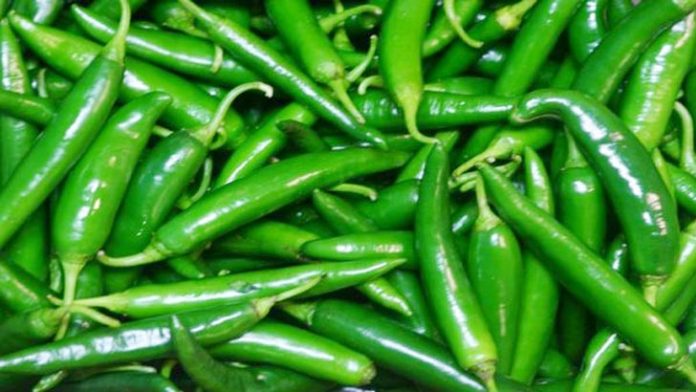 image-575658-1658519826