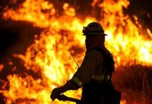 আগুন নেভাতে এসে দেখলেন নিজ পরিবারের ১০ সদস্যই পুড়ে মারা গেছে