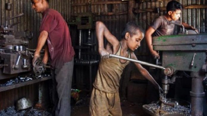 image-609345-1666737455