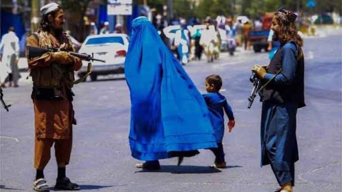 image-609654-1666803545