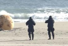 জাপানের সমুদ্রসৈকতে অজ্ঞাত বস্তু