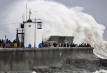 নিউজিল্যান্ডে ধেয়ে আসছে সাইক্লোন