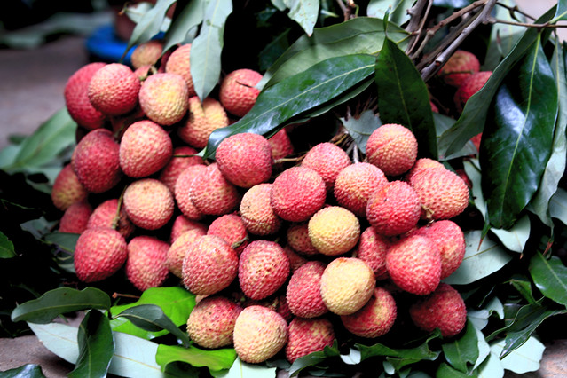 7532728166_764ff260b6_z