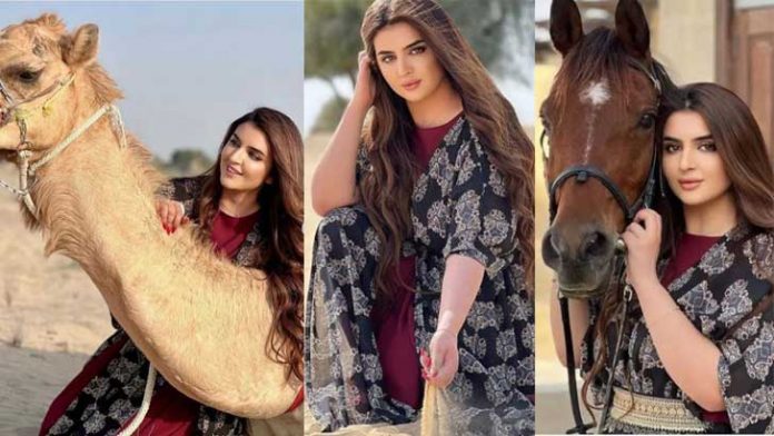 image-663556-1680970706