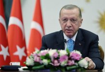 জার্মানিতে কতটা জনপ্রিয় এরদোগান?