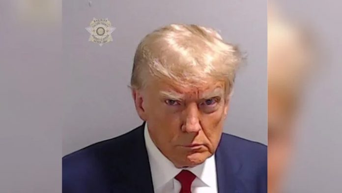 image-710631-1692931633