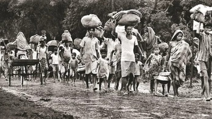 image-788576-1711312724