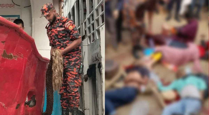 দড়ি ছিঁড়ে রাজধানীর সদরঘাটে নিহত ৫