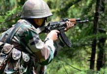 বাংলাদেশে ঢুকে দুই রাখালকে বিএসএফের গুলি