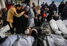 ঈদের দিনে ইসরাইলি হামলায় নিহত ১২২ ফিলিস্তিনি