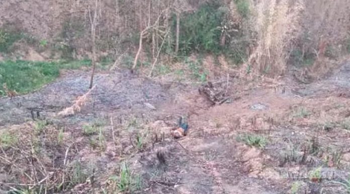 সাজেকে নিয়ন্ত্রণ হারিয়ে ট্রাক গভীর খাদে, নিহত সংখ্যা বেড়ে ৯
