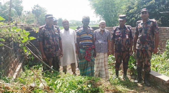সীমান্ত এলাকায় গাঁজার বাগান ধ্বংস করল বিজিবি