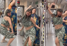 মেট্রোরেলে ‘অশ্লীল’ নাচ, যুবতীর ভিডিও ভাইরাল