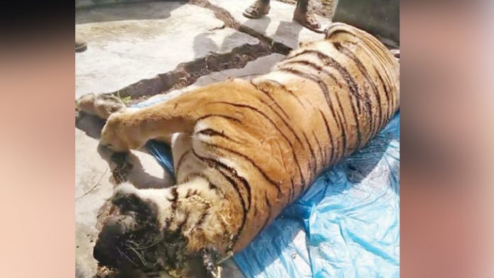 image-800381-1714495948