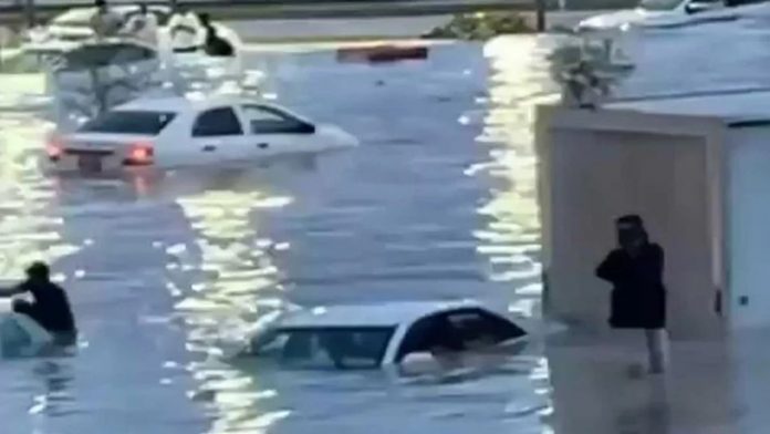 image-800680-1714572284