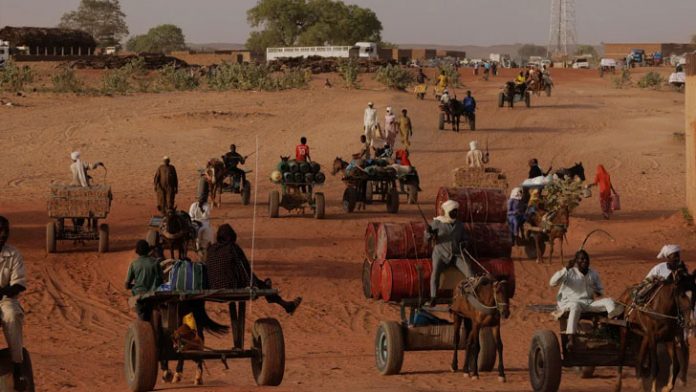 image-801579-1714836130