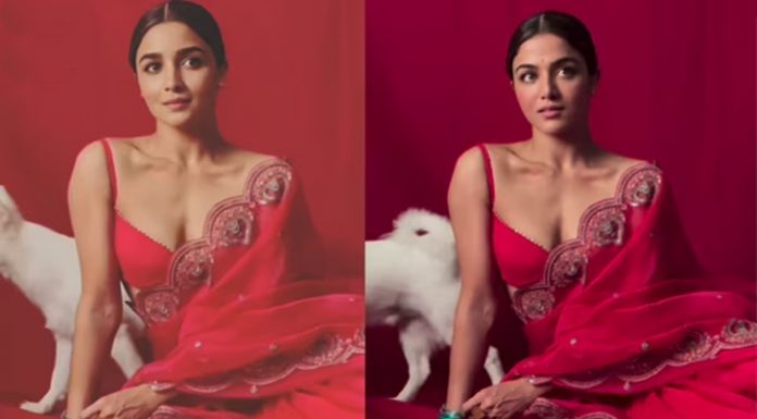 ফের আপত্তিকর ডিপফেক ভিডিওর ফাঁদে আলিয়াফের