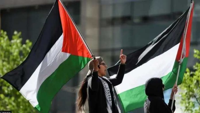 image-804079-1715448259