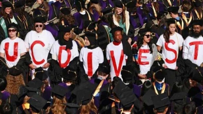 image-804518-1715565330