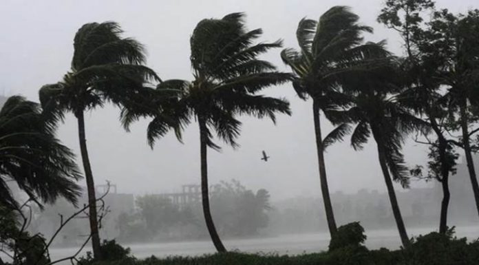 দুপুর ১টার মধ্যে ১০ জেলায় ঝড়ের আশঙ্কা