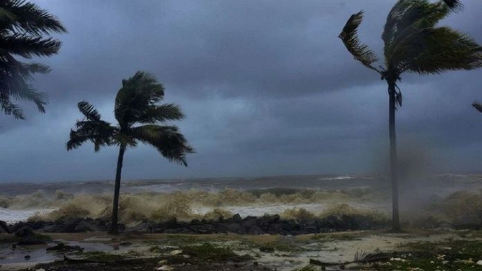 image-808704-1716520254