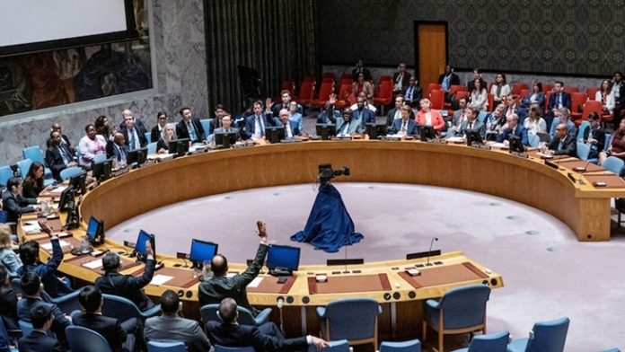 image-815565-1718069232