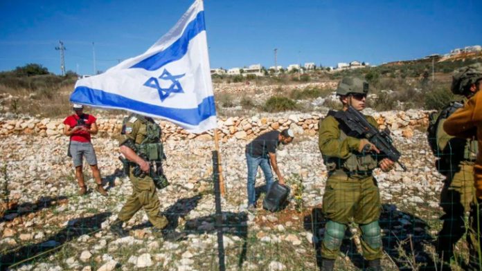 image-816242-1718230229