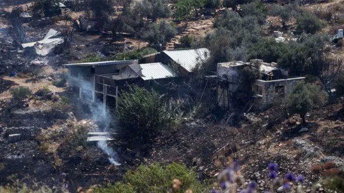 image-816566-1718297220