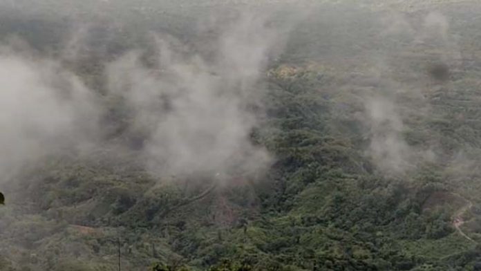 image-818905-1719005558