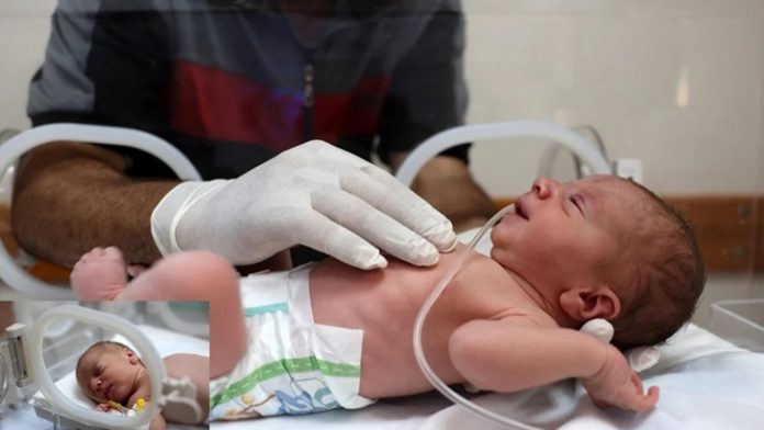 image-830496-1721961962