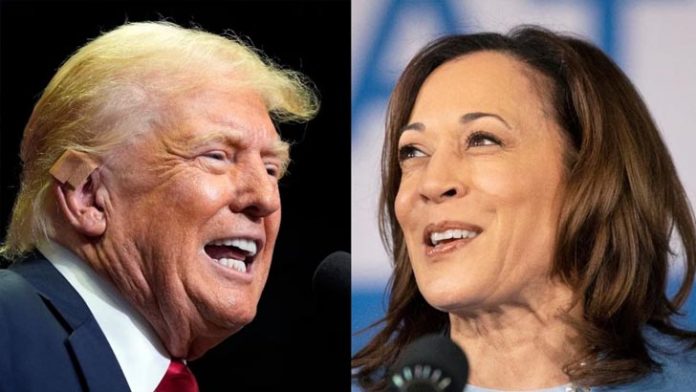 image-830943-1722098603