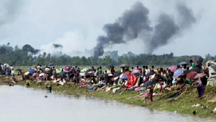 image-842261-1724517541