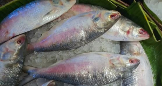 image-490323-1726052472