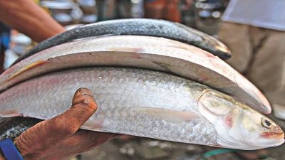 image-491804-1726591918