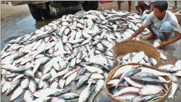 ImgResizer_20241011_2350_06320-670965bc5945e