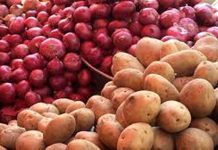 বাজারে নতুন পেঁয়াজে কমছে দাম, এখনো চড়া আলু