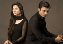 জনপ্রিয় ৫ পাকিস্তানি সিরিজ, যা আজও মানুষের মন জয় করে রেখেছে