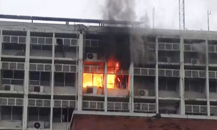 1735236116-813327eccda0320e5f2801012fa2b58f