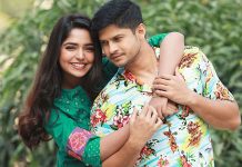 জুটি বেঁধেই বছর শেষ করলেন নিলয়-হিমি