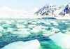 গ্রহের জন্য অশুভ মাইলফলক, বরফমুক্ত হতে পারে আর্কটিক