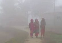 তীব্র শীতে কাবু পঞ্চগড় ও চুয়াডাঙ্গা