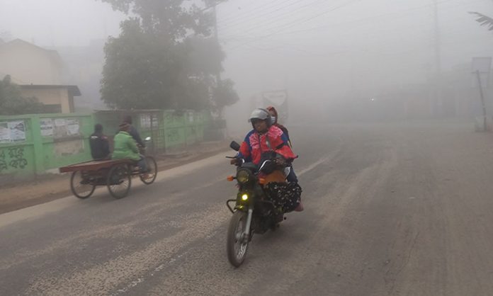 1736574409-0097c7c567f3486e4f7eed1c1c49b246