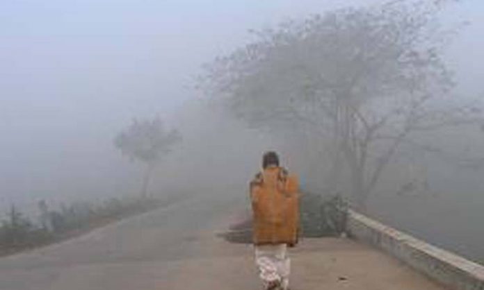 1736870287-5022c53bcddd02395d5d834bd2d33696