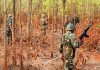 ছত্তিশগড়ে নিরাপত্তা বাহিনীর অভিযানে ১২ মাওবাদী নিহত
