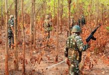 ছত্তিশগড়ে নিরাপত্তা বাহিনীর অভিযানে ১২ মাওবাদী নিহত
