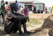 নাইজেরিয়ায় সশস্ত্র গোষ্ঠীর হামলায় নিহত ৪০ কৃষক